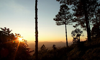 Doi Pha Hom Pok National Park