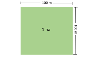 A visualisation of one hectare