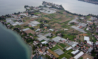 Reichenau Island