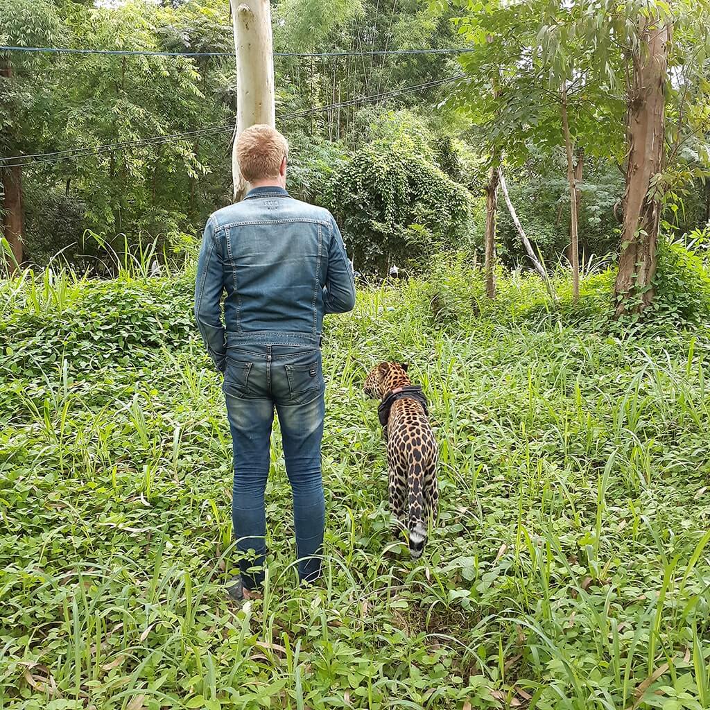 Wandeegroup: Mario Kleff's leopards in Pattaya 08