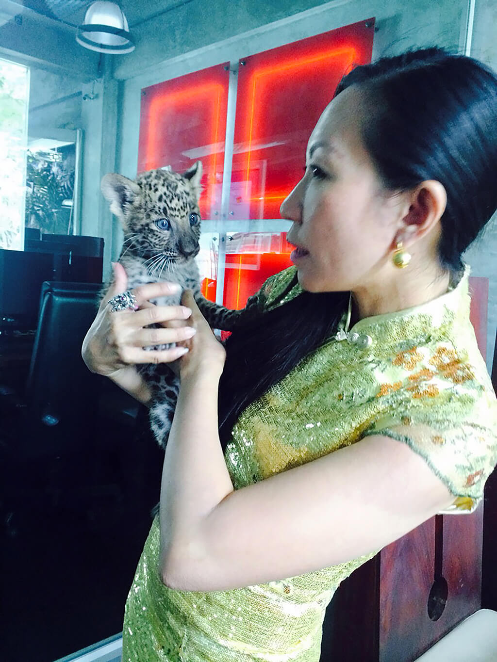Wandeegroup: Mario Kleff's leopards in Pattaya 38