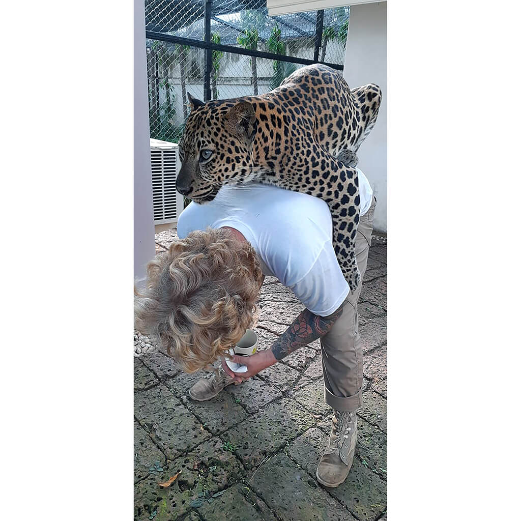 Wandeegroup: Mario Kleff's leopards in Pattaya 40
